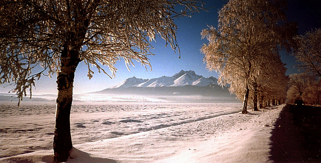 Zima pod Vysokymi Tatrami